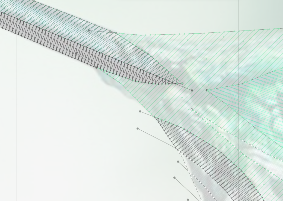 Hummingbird being digitized with natural drawing tools